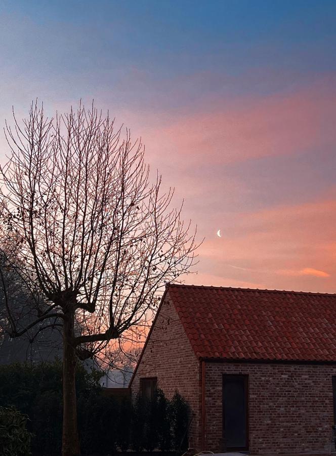 Bloemendale Guesthouse Bruges Extérieur photo
